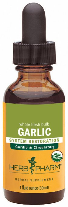 herb_pharm_garlic