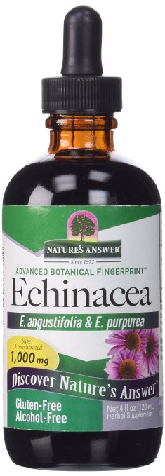 natures_answer_echinacea