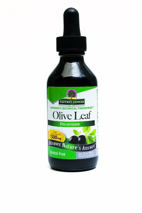 natures_answer_olive_leaf