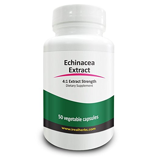 Real Herbs Echinacea Extract Full Review Does It Work? Immune